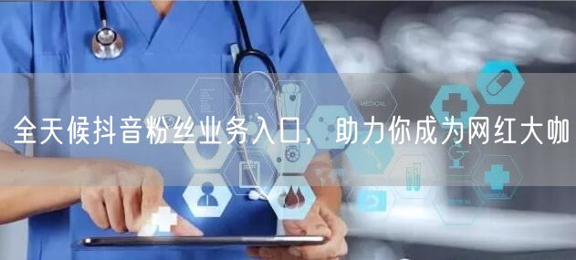 全天候抖音粉丝业务入口，助力你成为网红大咖
