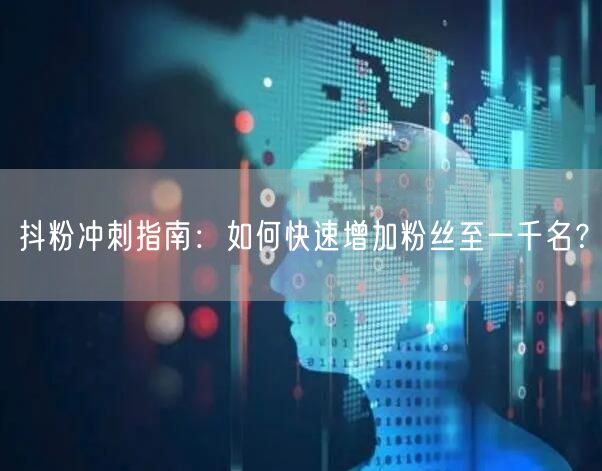 抖粉冲刺指南:如何快速增加粉丝至一千名?