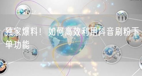 独家爆料!如何高效利用抖音刷粉下单功能