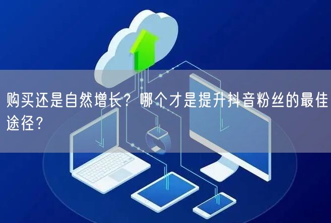 购买还是自然增长？哪个才是提升抖音粉丝的最佳途径？