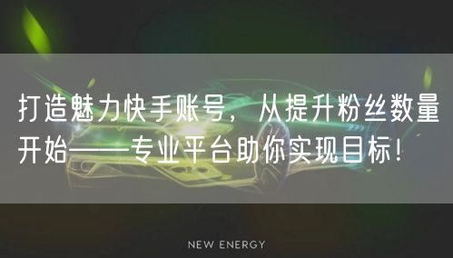 打造魅力快手账号，从提升粉丝数量开始——专业平台助你实现目标！