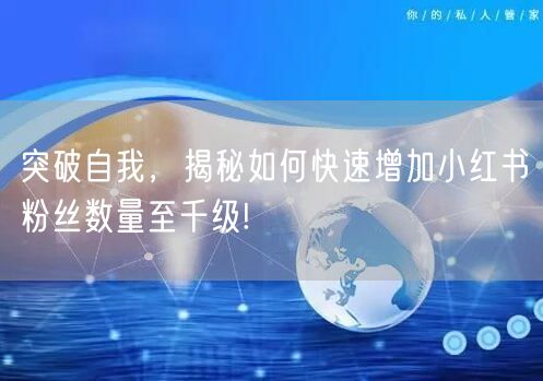 突破自我,揭秘如何快速增加小红书粉丝数量至千级!