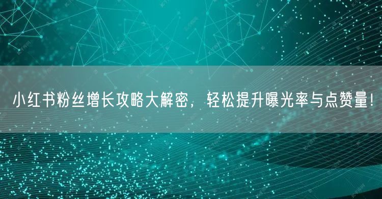 小红书粉丝增长攻略大解密,轻松提升曝光率与点赞量!