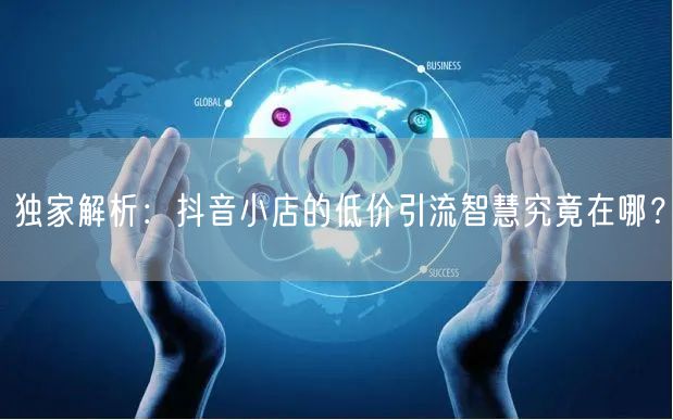 独家解析:抖音小店的低价引流智慧究竟在哪?